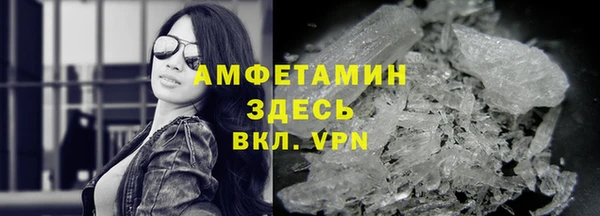 прущие грибы Карталы