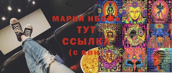 прущие грибы Карталы