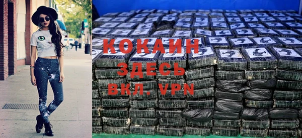 молекула духа Карпинск