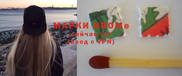 стафф Каменка