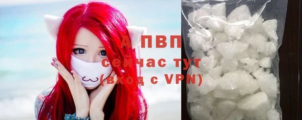 ГАЛЛЮЦИНОГЕННЫЕ ГРИБЫ Бутурлиновка