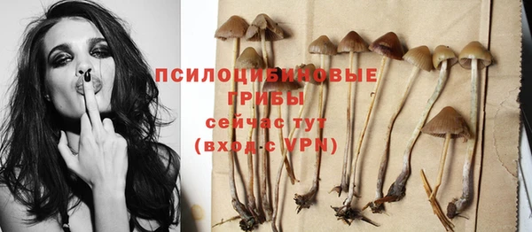 прущие грибы Карталы