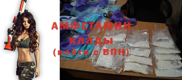 прущие грибы Карталы