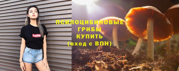 синтетический гашиш Каменногорск