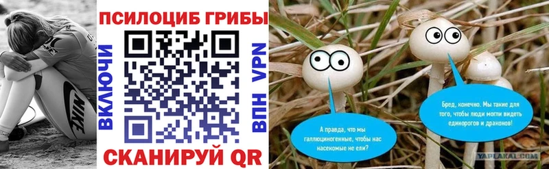 Галлюциногенные грибы мицелий ОМГ ОМГ ссылки Козловка